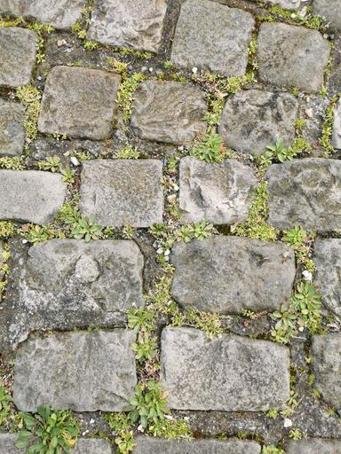 Pavé