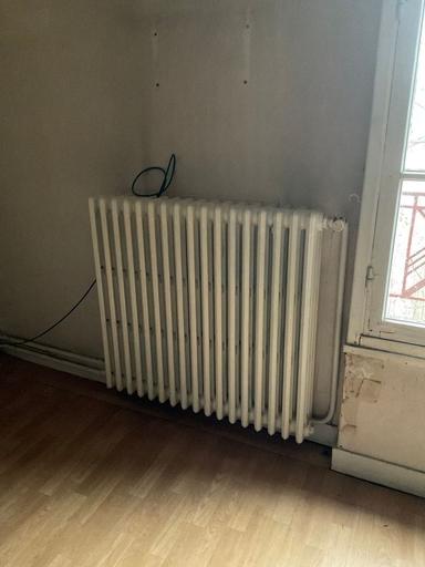 Lot de radiateurs à eau à colonnes
