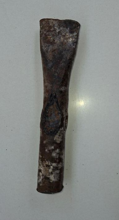 Tête de marteau