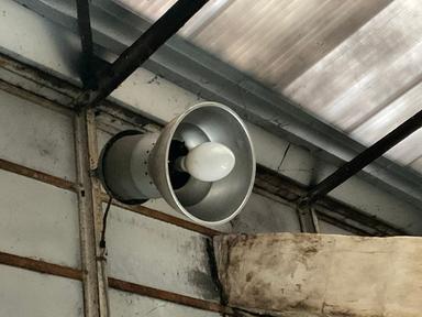 Lampe tempête
