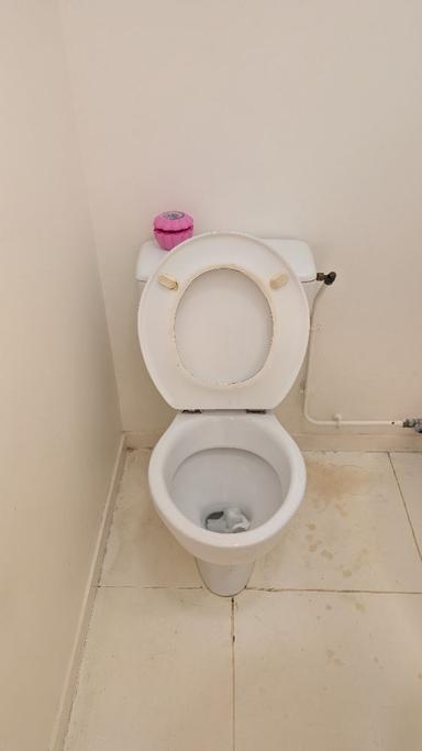 cuvette WC adulte - type 2