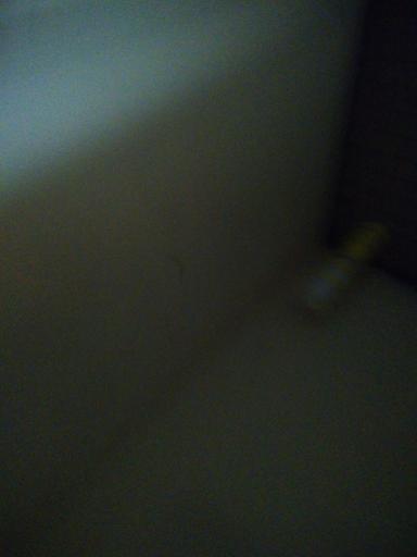 Cuvette céramique sur pied