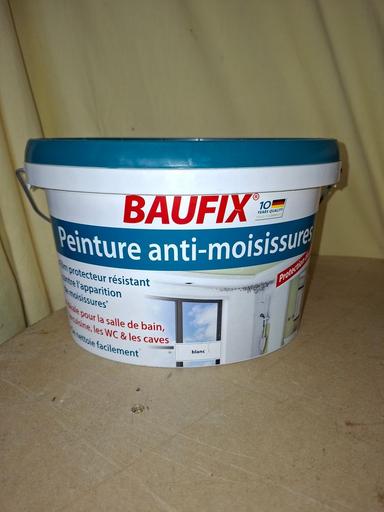 Peinture murale
